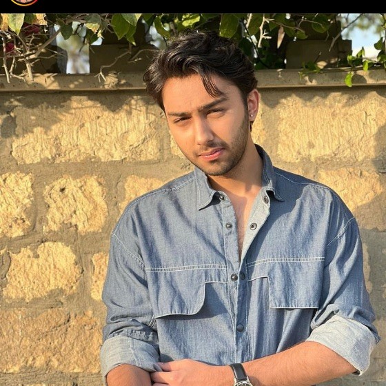 Aashir Wajahat